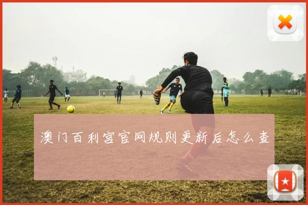澳门百利宫官网规则更新后怎么查