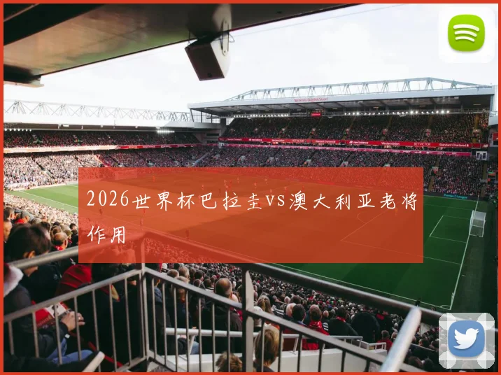 2026世界杯巴拉圭vs澳大利亚老将作用