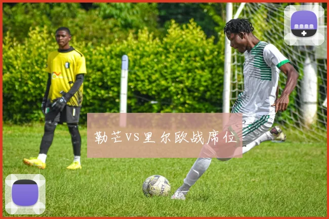 勒芒vs里尔欧战席位