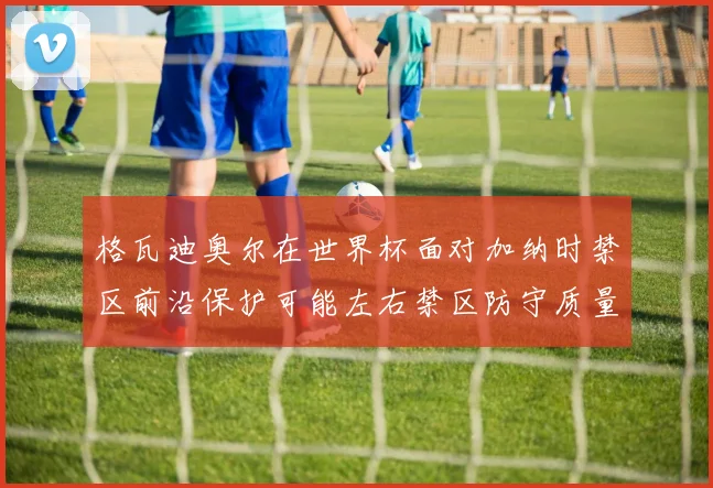 格瓦迪奥尔在世界杯面对加纳时禁区前沿保护可能左右禁区防守质量
